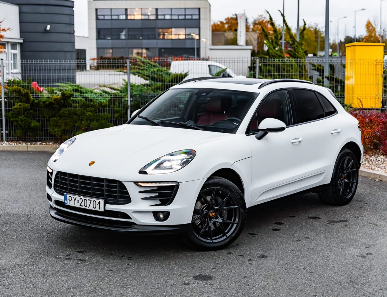 macan-31